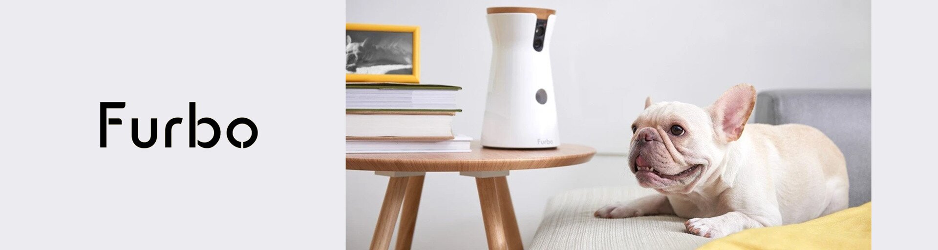 Furbo
