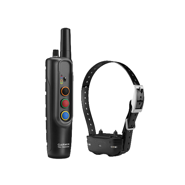 Pet Training & Accessories