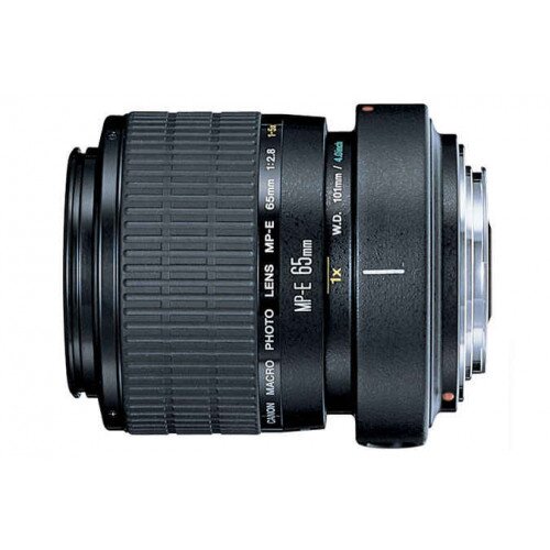 Canon MP-E 65mm f/2.8 1-5x Macro Photo Lens