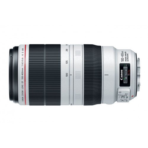 Canon EF 100-400mm Telephoto Zoom Lens