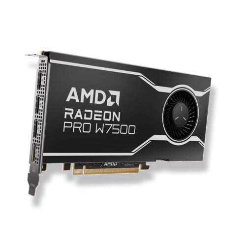 AMD Radeon PRO W7500 Professional Graphics Card