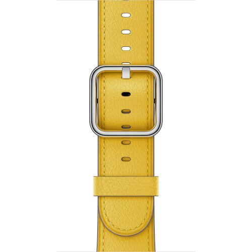 Apple Watch Classic Buckle Band