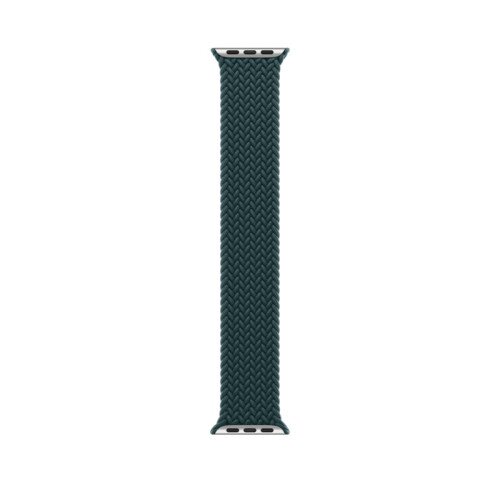 Order Apple Watch SE (2nd Gen) Silver Aluminum Case with Braided Solo ...