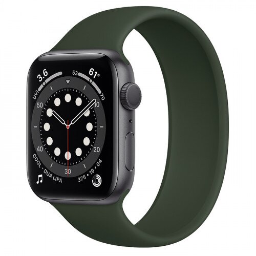 Apple Watch Series 6 Space Gray Aluminum Case with Solo Loop - 44mm - Size-10 - Cyprus Green