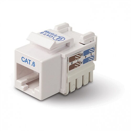 Belkin Cat6 Keystone Jacks