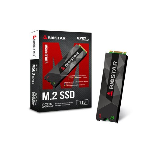 BIOSTAR M500-1TB SSD