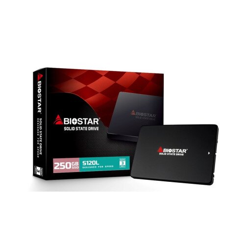 BIOSTAR S120L SSD - 250GB