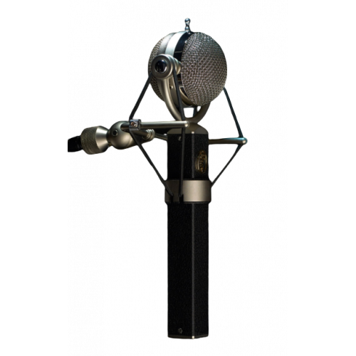 Blue Dragonfly Large-Diaphragm Studio Condenser Microphone With Rotating Capsule