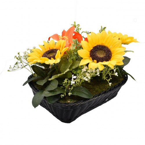 Bush Baby Fern WiFi HD Hidden Camera - Night Vision