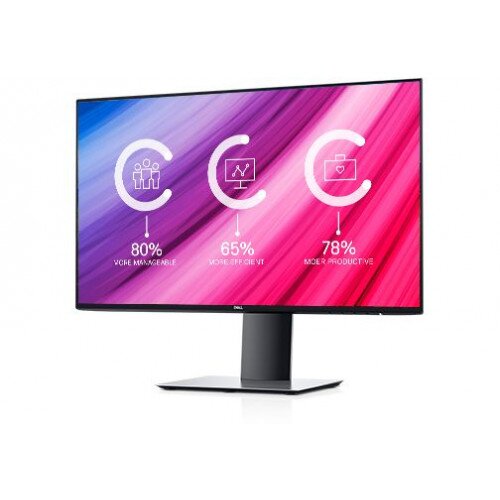 Dell UltraSharp 24 Monitor U2419H