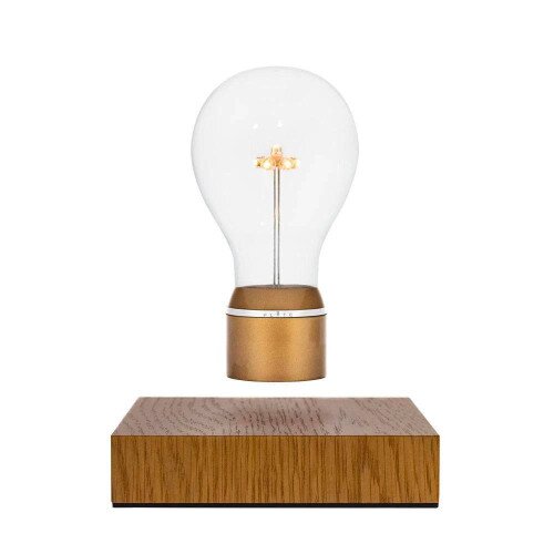 Flyte Light Edison Levitating Light Bulb