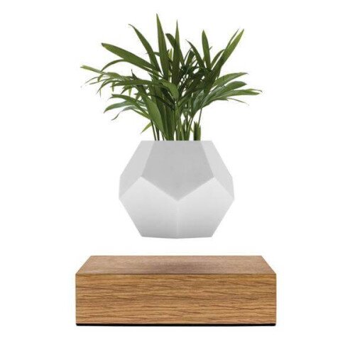 Flyte Lyfe Levitating Planter - Oak
