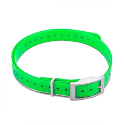 Garmin 3/4-Inch Collar Strap - Square Buckle (Green)