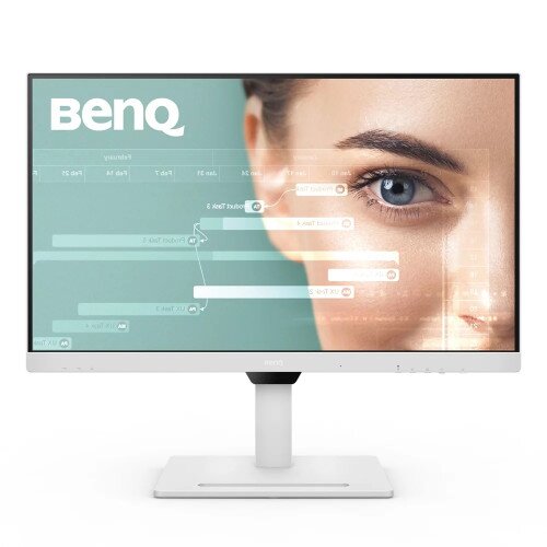 BenQ GW2790QT 27 Inch Ergo Eye-Care Monitor