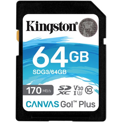 Kingston Canvas Go! Plus SD Memory Card