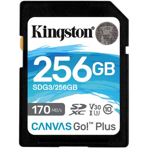 Kingston Canvas Go! Plus SD Memory Card - 256GB