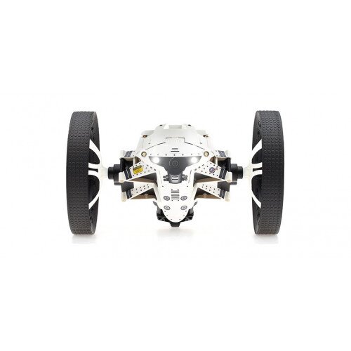 Parrot Jumping Night - Buzz