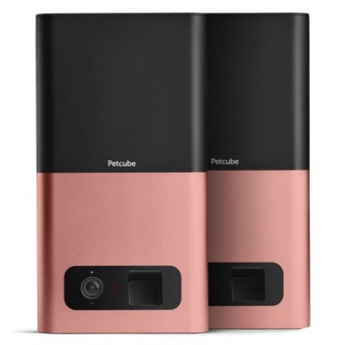 Petcube Bites HD Pet Camera - 2-Pack - Rose Gold