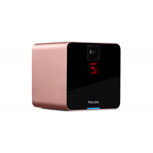 Petcube Camera - Rose Gold