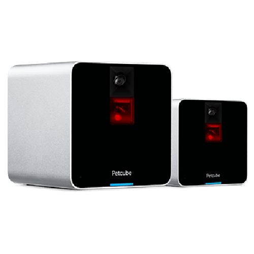 Petcube Camera 2-Pack - Matte Silver