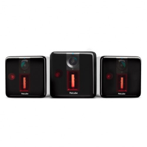 Petcube Play Interactive Wi-Fi Pet Camera - 3-Pack - Matte Silver