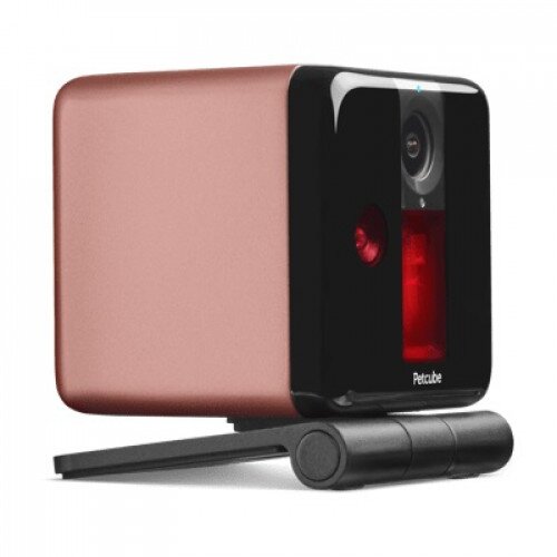 Petcube Play + Mount - Rose Gold