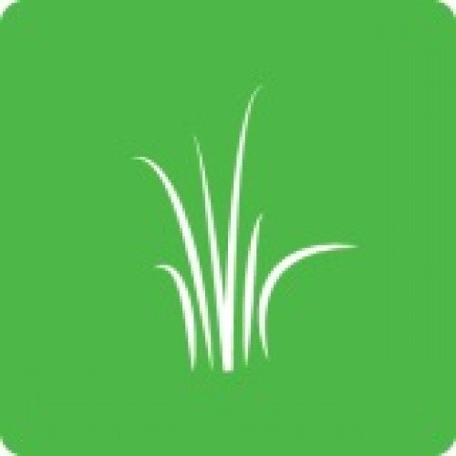 Sensorwake Scent Capsules - Grass