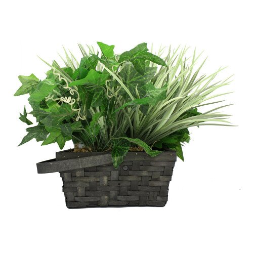 SG Xtreme Hidden Camera With Life Plant