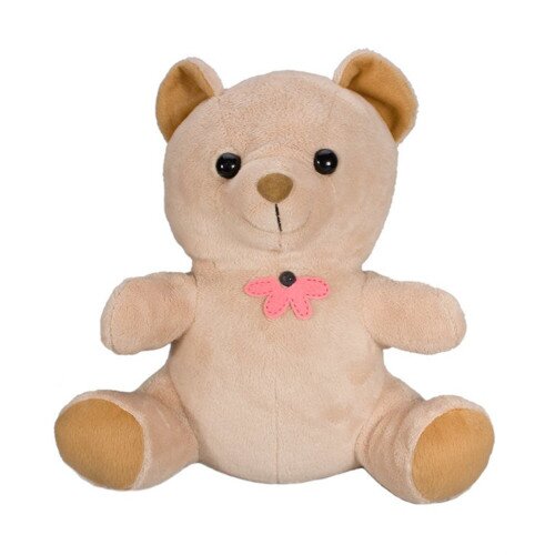 SG Xtreme Life Teddy Bear Hidden Camera