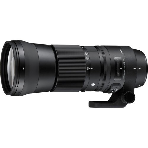 Sigma 150-600mm F5-6.3 DG OS HSM Contemporary Lens - Nikon