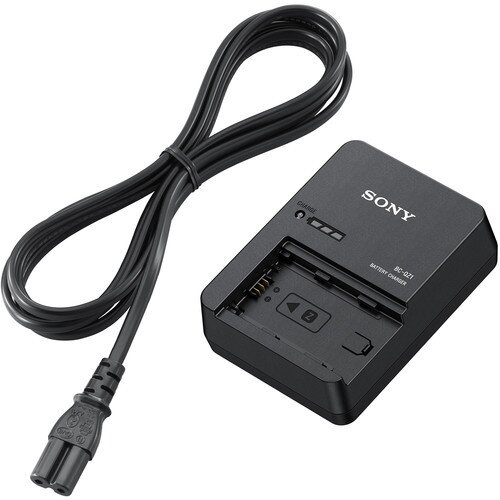 Sony Battery Charger for NP-FZ100