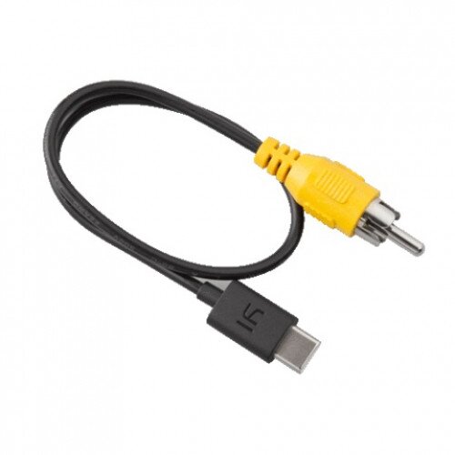 YI Type C to RCA Cable