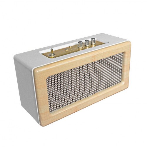 Zivix Amp Style Speaker