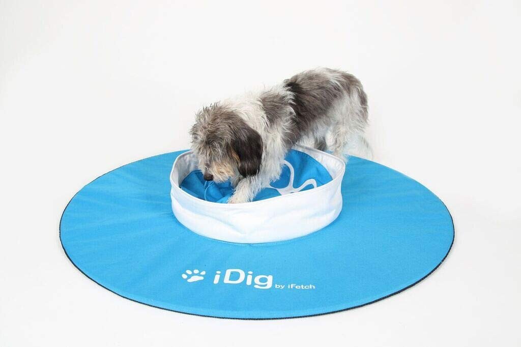 Buy iFetch iDig Digging Toy for Dogs online Worldwide 