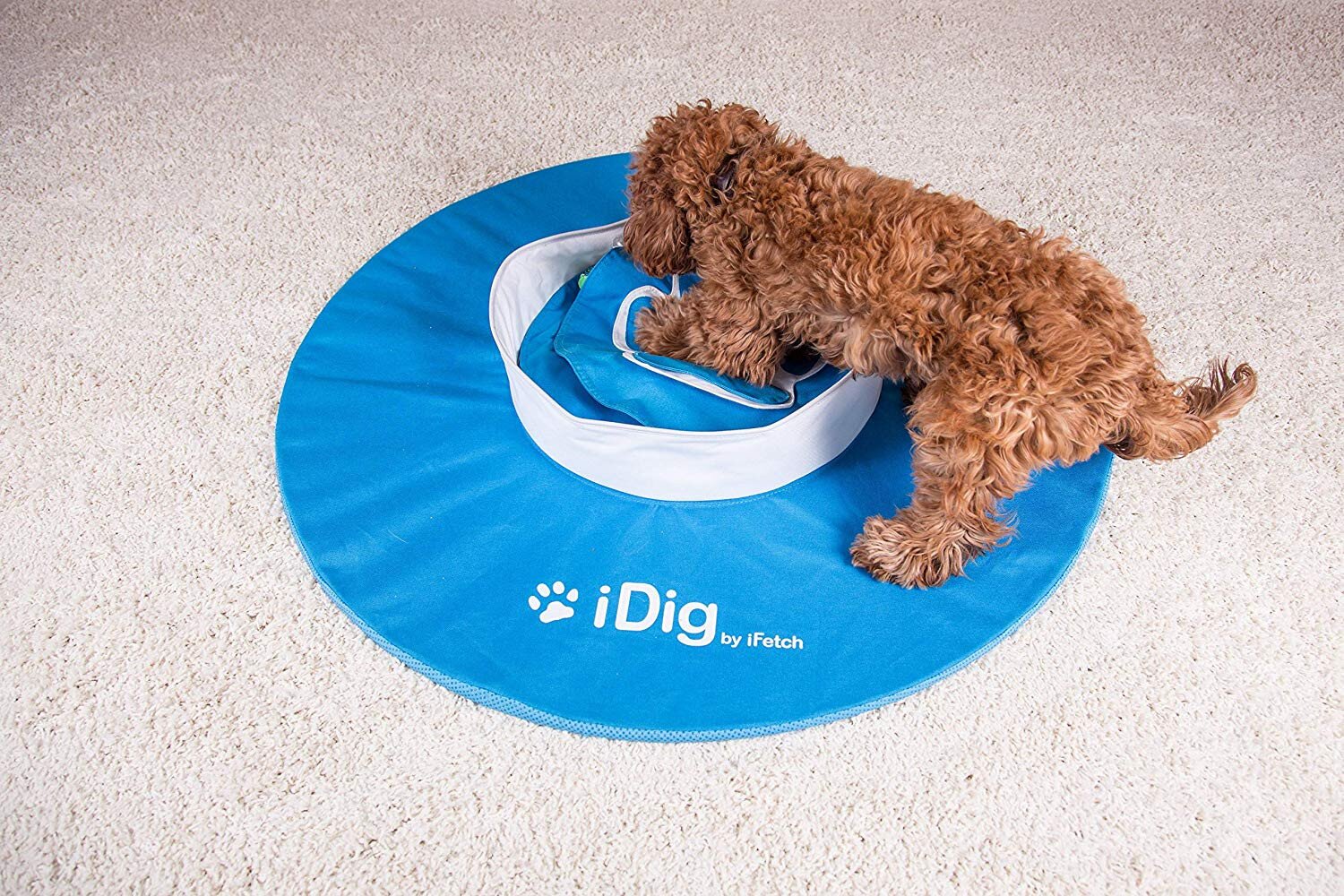 iDig Stay Digging Toy – iFetch