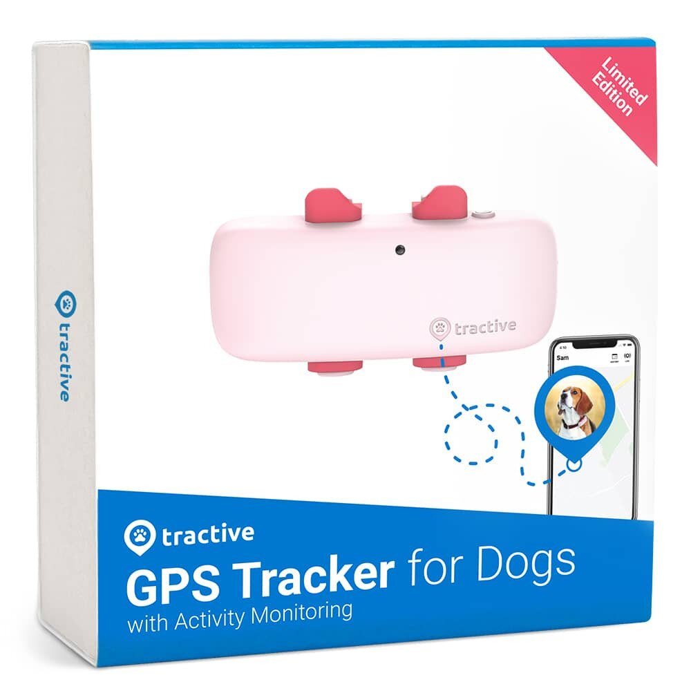 Buy Tractive GPS Tracker for Dogs - Pink online Worldwide 