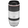 Canon RF100-500mm F4.5-7.1 L IS USM Lens